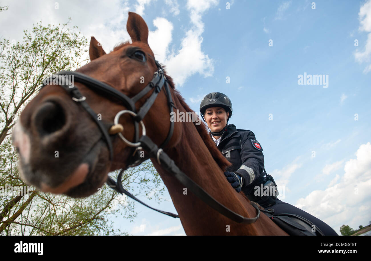 27 April 2018, Germany, Gartow: Police officer Tamila Hesse on her horse, Goya, at the shore of the river Elbe. Mounted police will be on patrol along the river Elbe until early September in order to keep an eye on polluting behavior by visitors to the biosphere preserve 'Niedersaechsische Elbtalaue'. Photo: Philipp Schulze/dpa Stock Photo