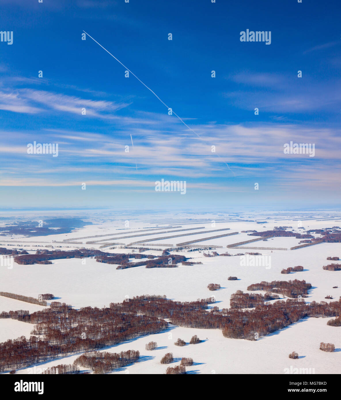 Snow covered agricultural fields with birch groves, aerial view Stock Photo