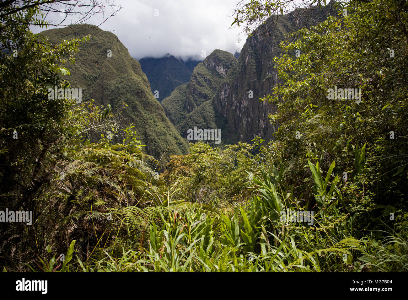 Detail of the Machu Picchu Inca citadel in Peru Stock Photo - Alamy