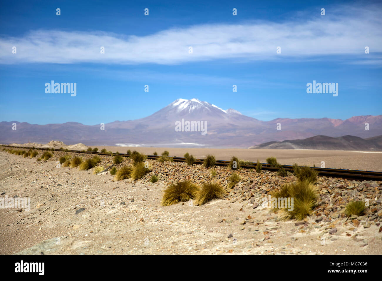 Reserva de fauna andina eduardo avaroa hi-res stock photography and ...