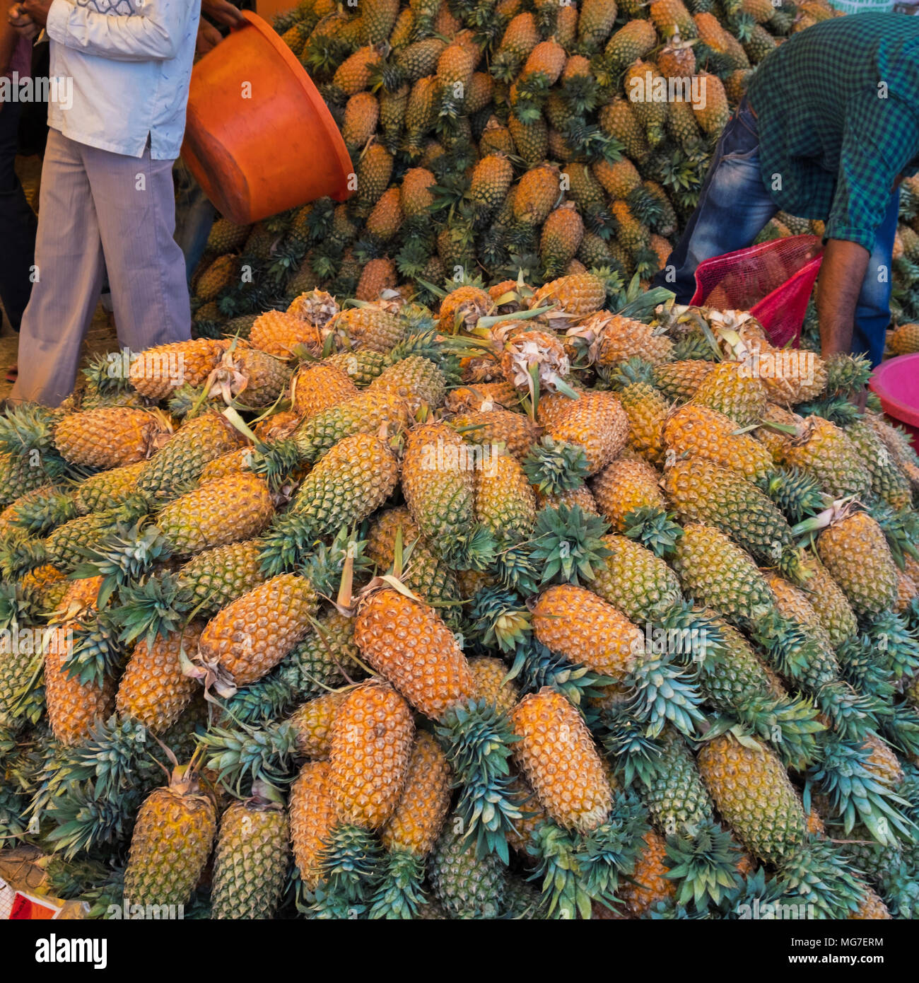 Pineapples For Sale High Resolution Stock Photography and Images Alamy