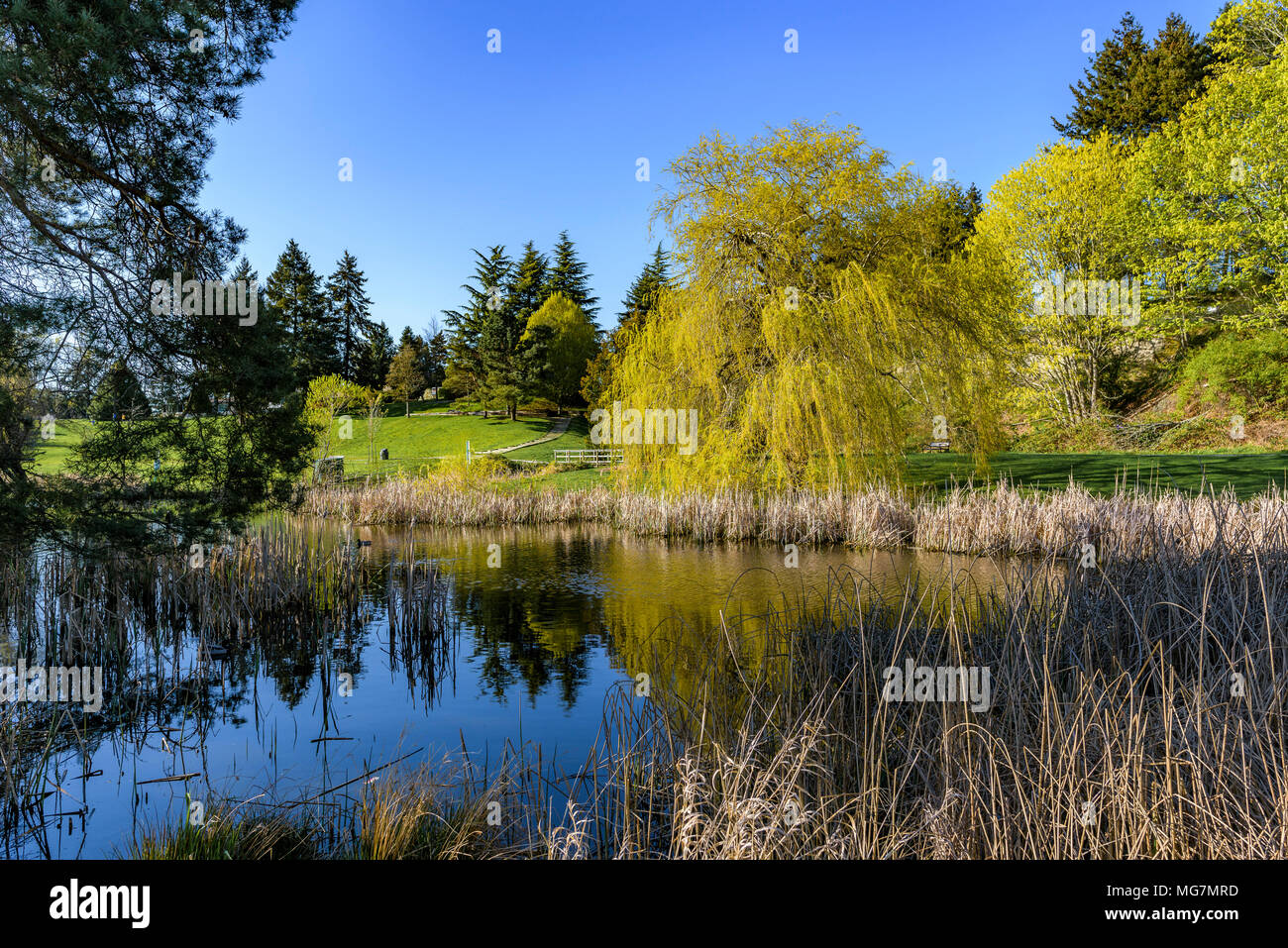 Diefenbaker Park, Tsawwassen, Delta, British Columbia, Canada. Stock Photo