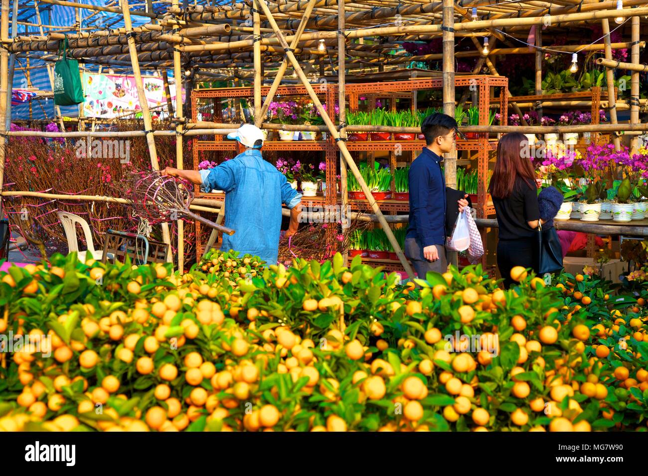 Chinese New Year Flower Market, Hong Kong, China, South East Asia Stock