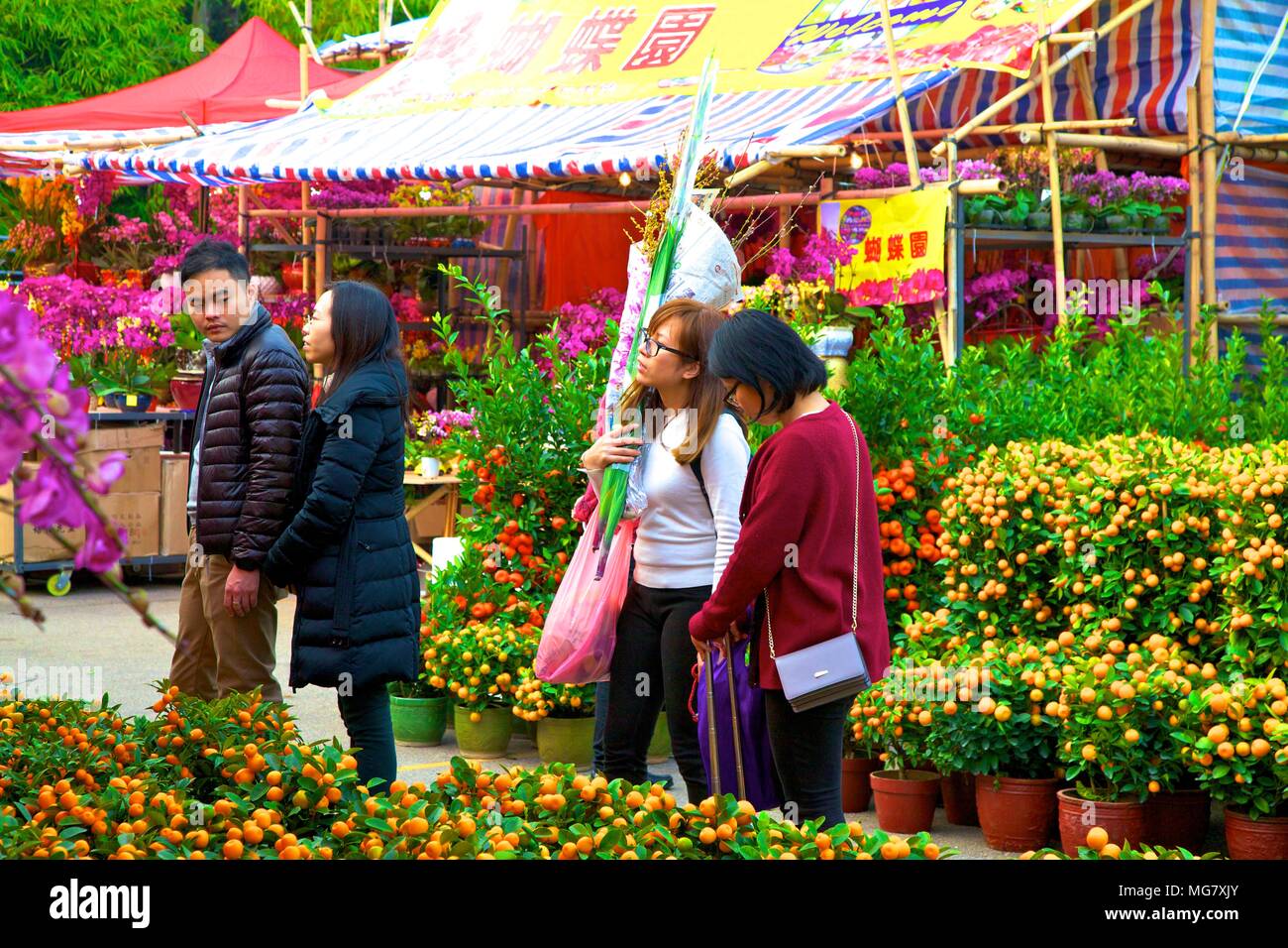 chinese new year flower market san francisco 2025