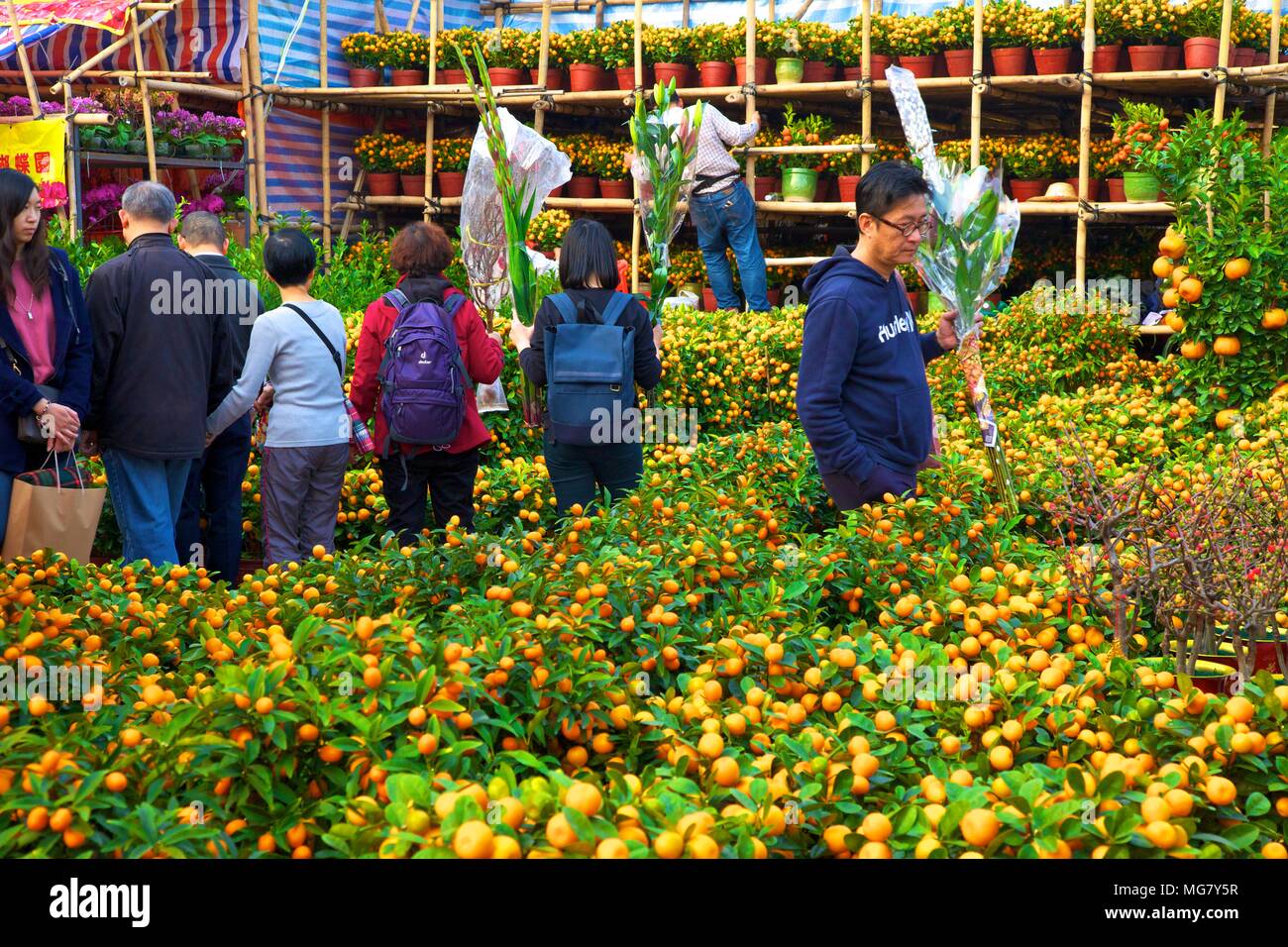 Chinese New Year Flower Market, Hong Kong, China, South East Asia Stock