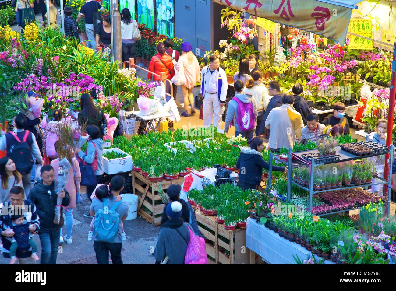 chinese new year flower market san francisco 2025