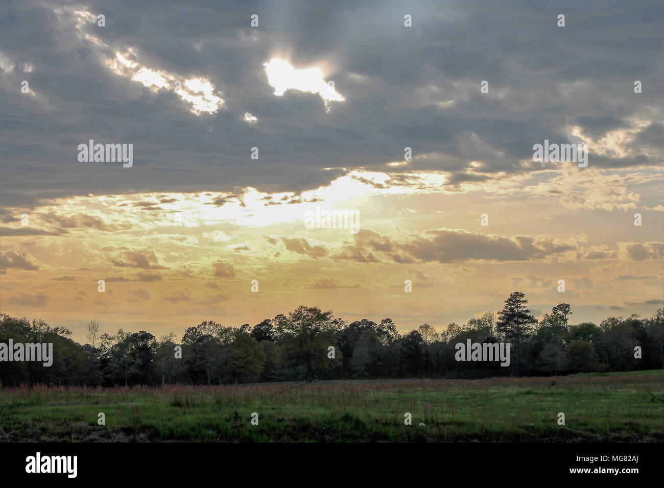 Sunset over the trees Stock Photo