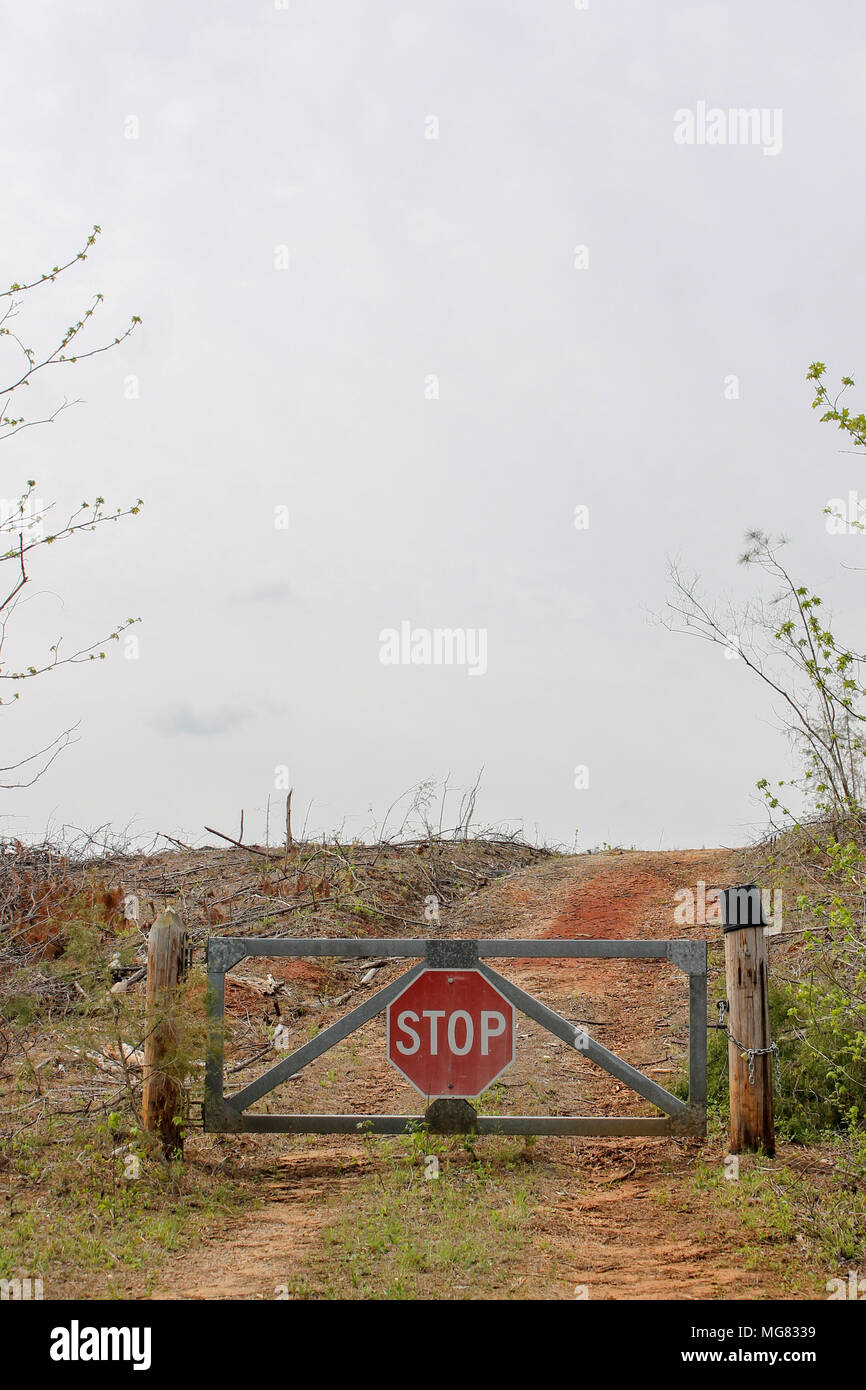 Stop sign to nowhere Stock Photo - Alamy