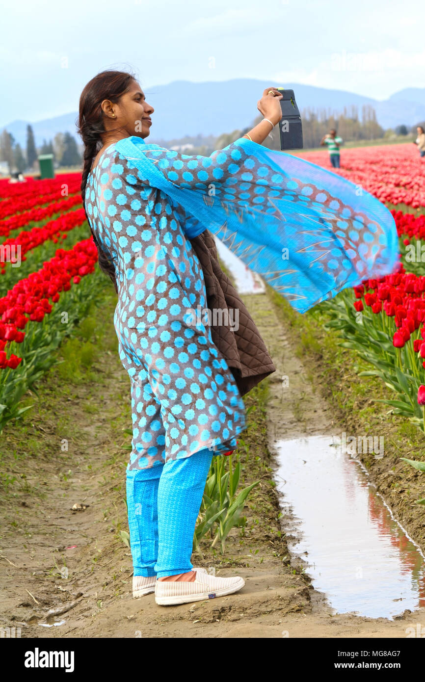Indian tulip flower hi-res stock photography and images - Alamy
