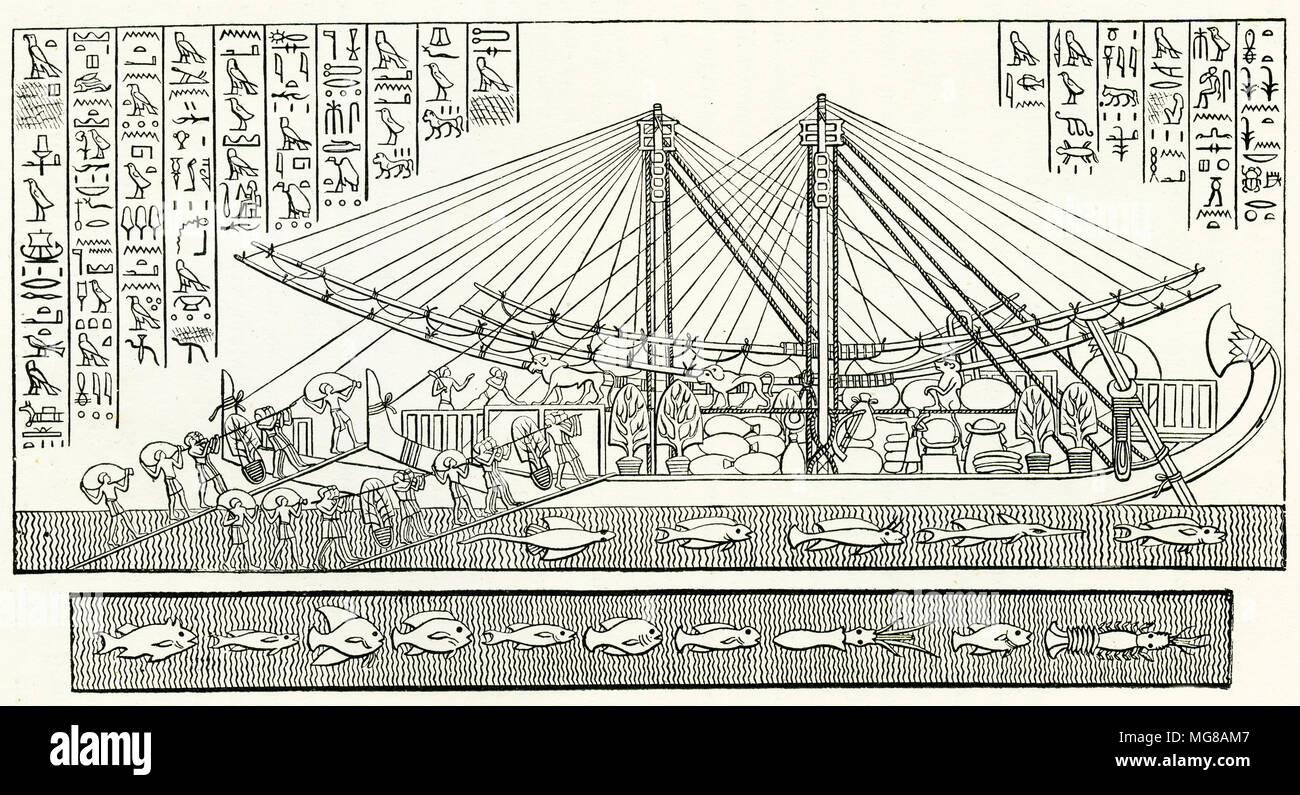 Engraving of the ships used by Queen Hatshepsut in Ancient Egypt. Hatshepsut is believed by some to be the adoptive mother of Moses. From an original engraving in the 1895 edition of Graven in the Rock, by Samuel Kinns Stock Photo