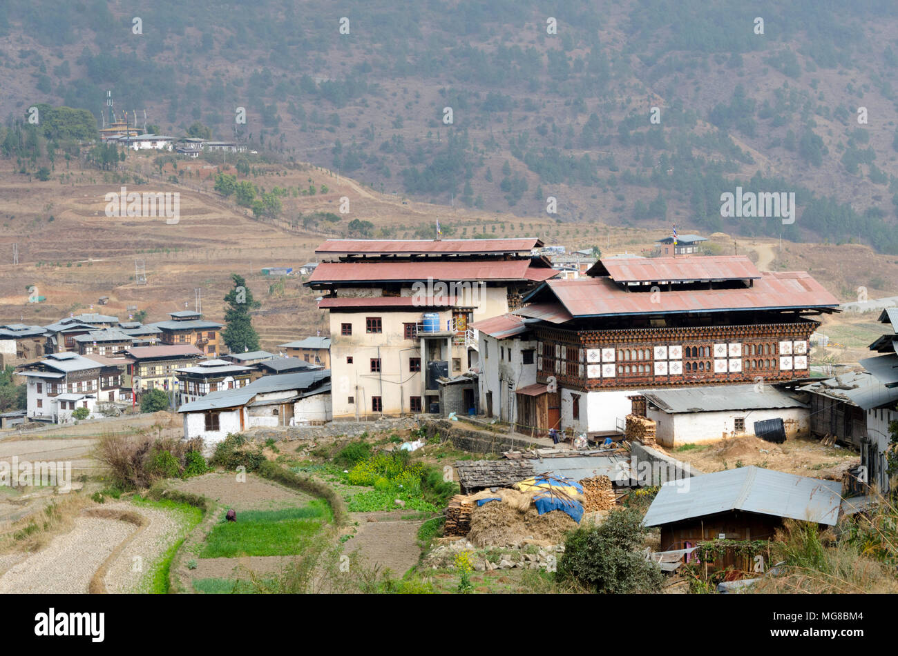 Village houses and farmland, Sopsokha, Bhutan Stock Photo