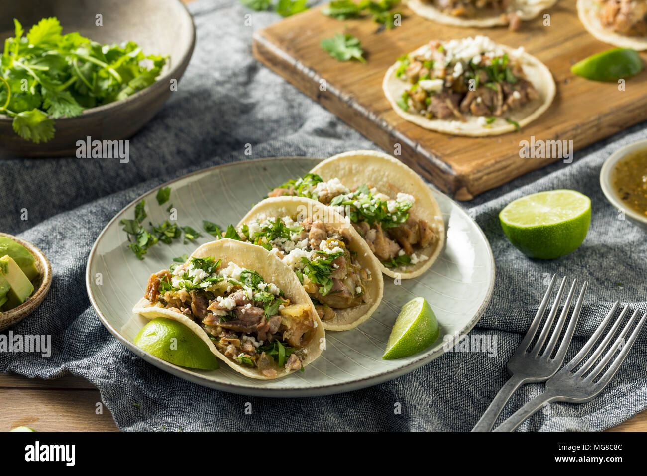 Homemade Pork Carnitas Tacos with Cilantro and Cojita Stock Photo Alamy