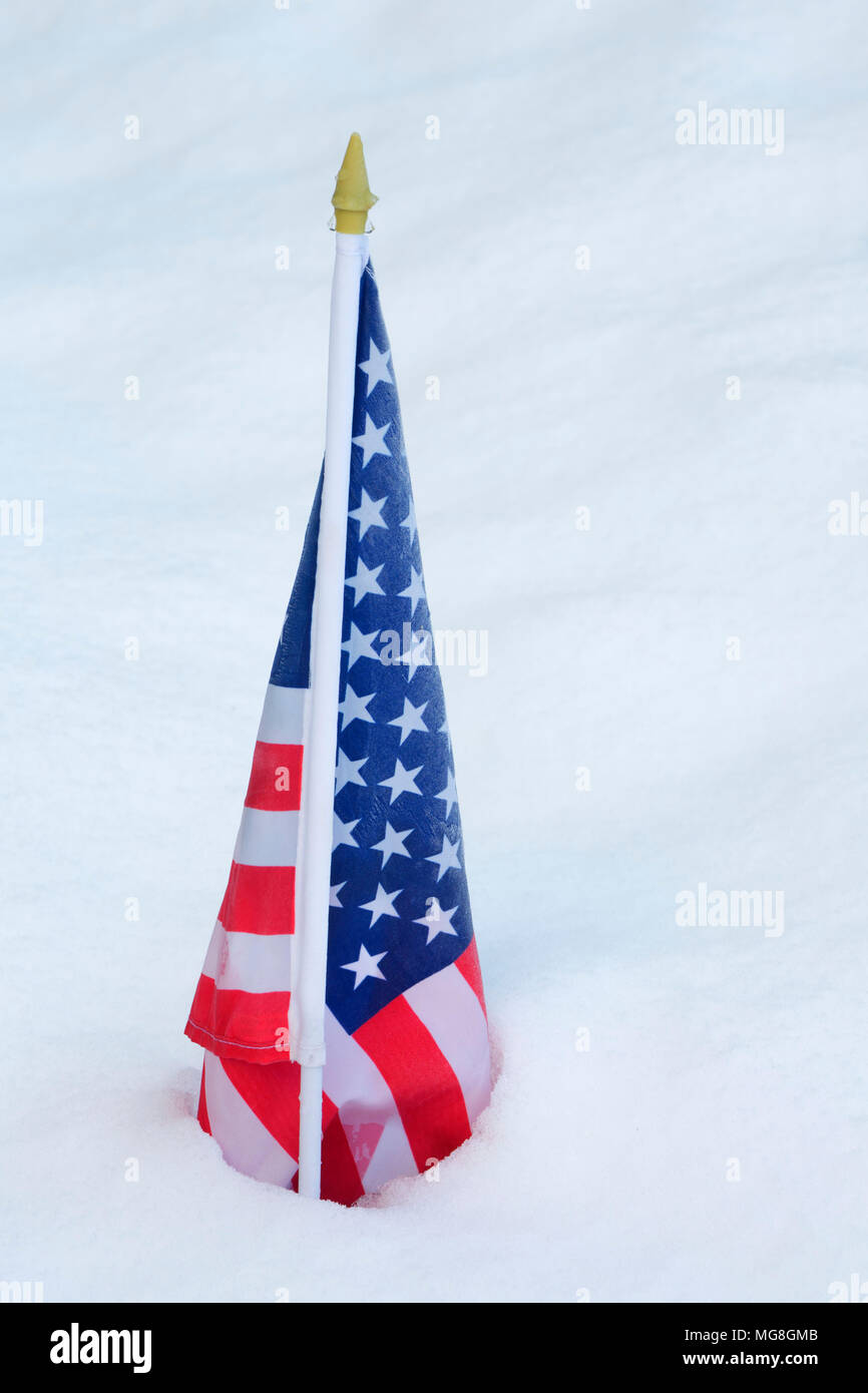 American flag in snow, Golden State Park, Oregon Stock Photo