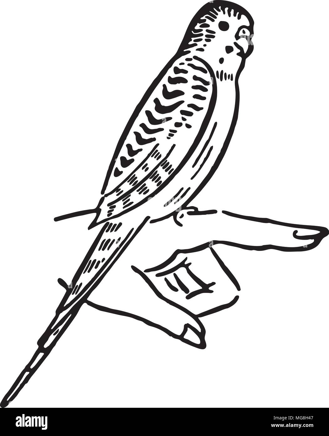 Волнистый попугай для печати черно-белый