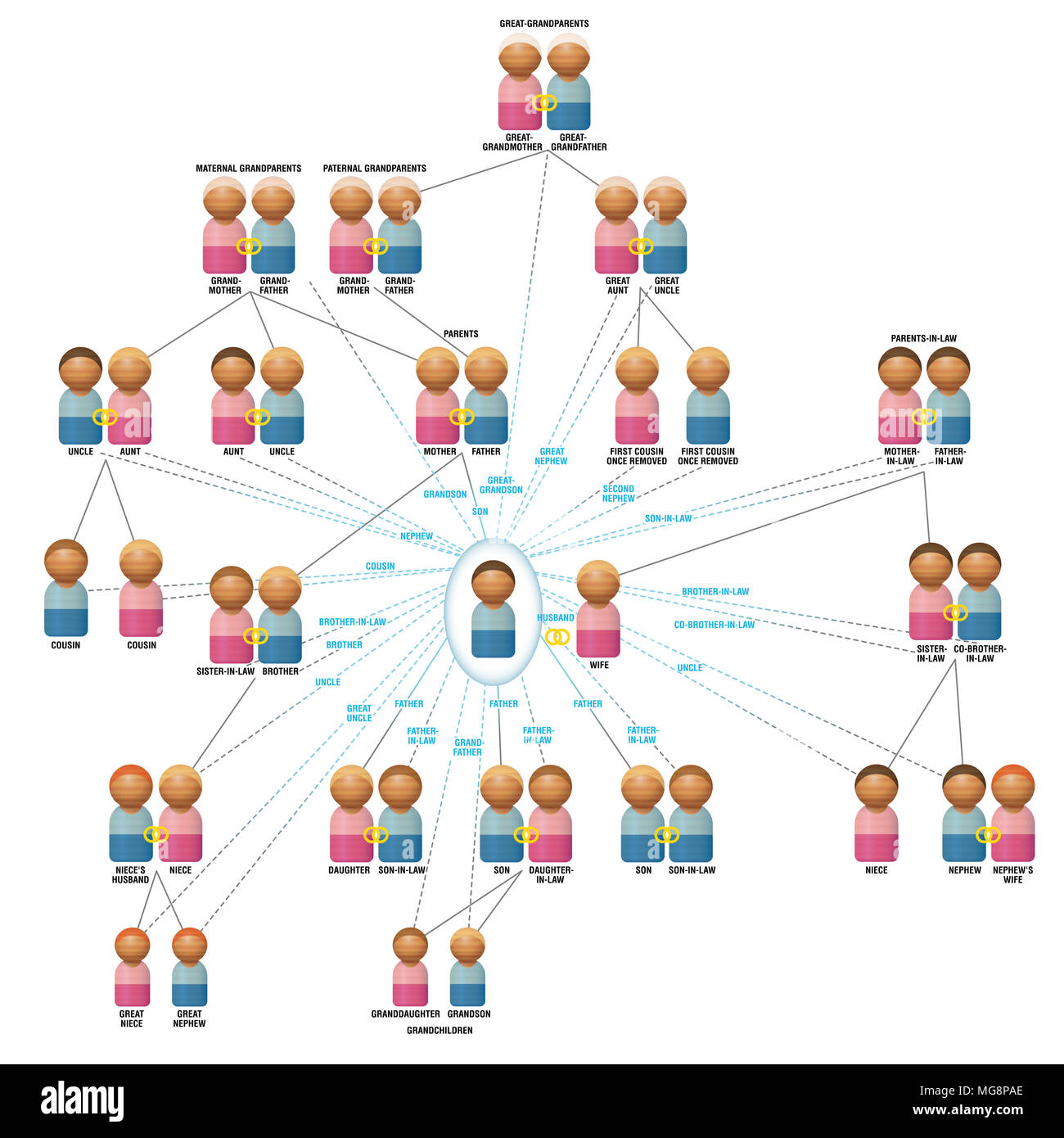 Family members network from a mans view as husband, father, son, brother, uncle, nephew etc, with family relatives like parents, children. Stock Photo