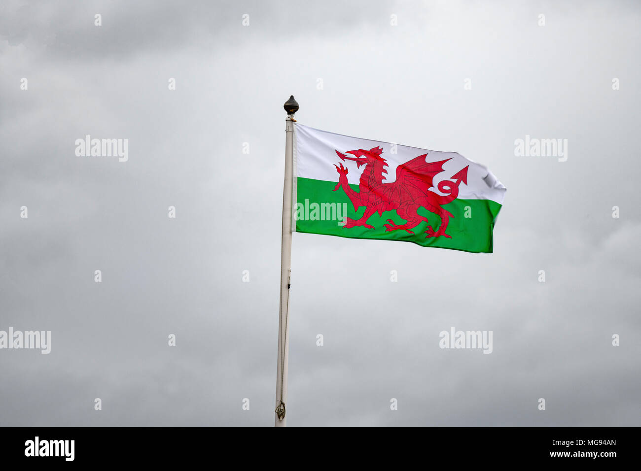 Wales flag flying on a grey cloudy day. Stock Photo
