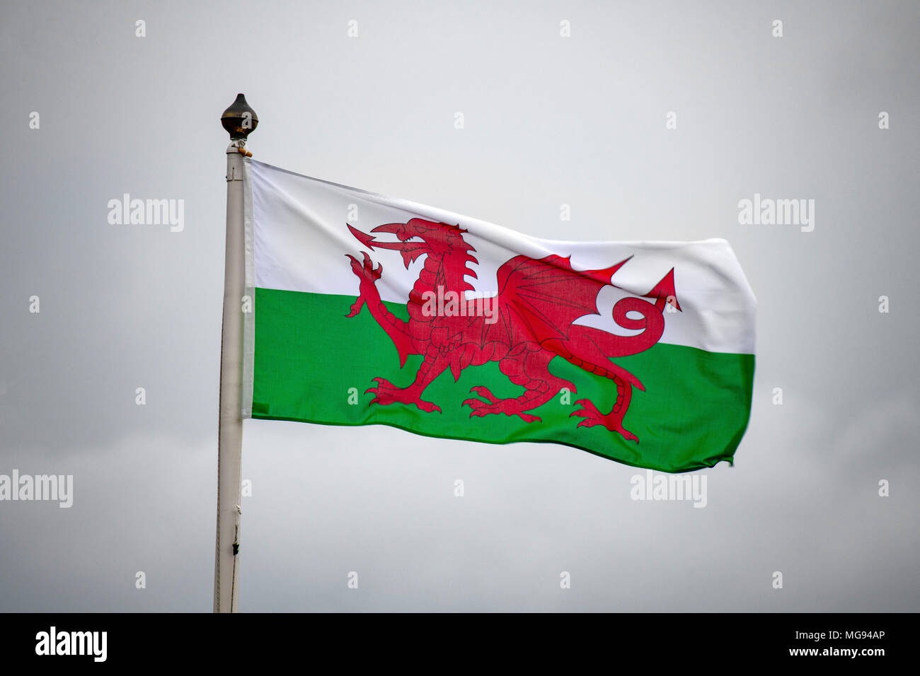 Wales flag flying on a grey cloudy day. Stock Photo