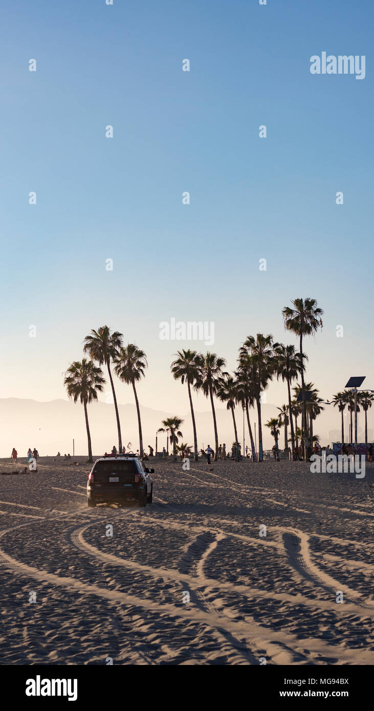 Sonnenuntergang, Venice Beach, Los Angeles, Usa, California, Spuren im Sand, Police, Palmen, Blauer Himmel Stock Photo