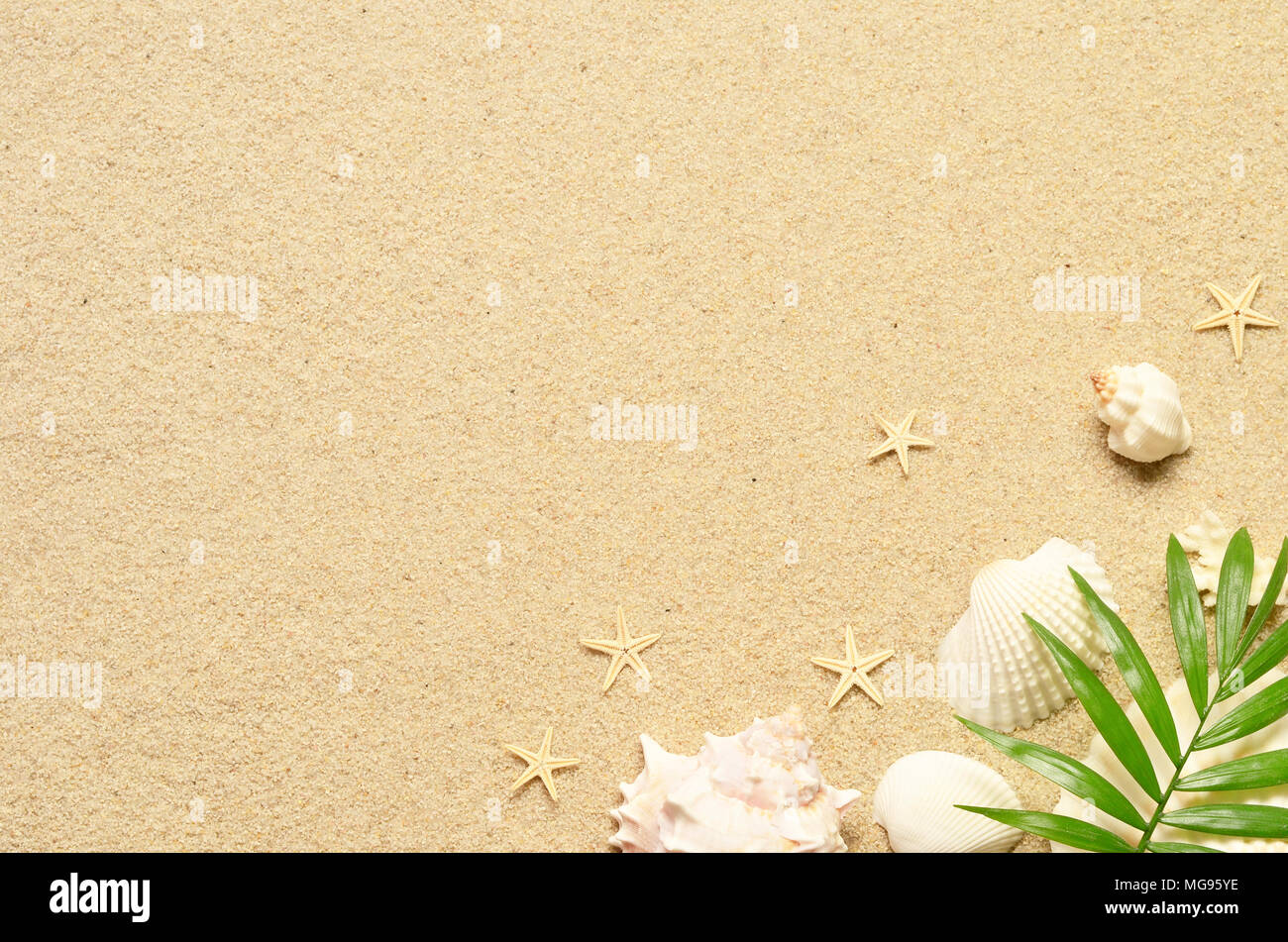 Sea sand with starfish and shells. Top view with copy space. Summer ...
