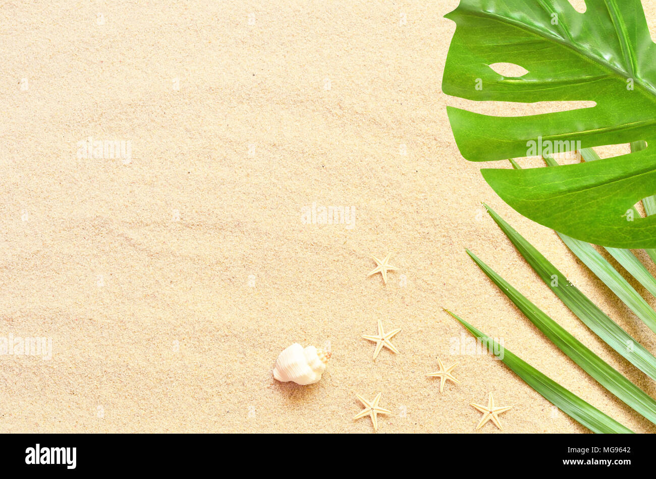 Sea sand with starfish and shells. Top view with copy space. Summer ...