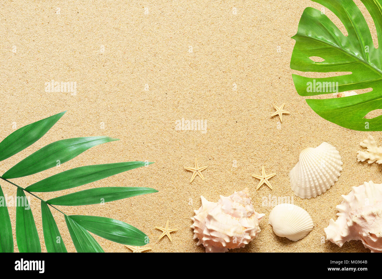 Sea sand with starfish and shells. Top view with copy space. Summer ...