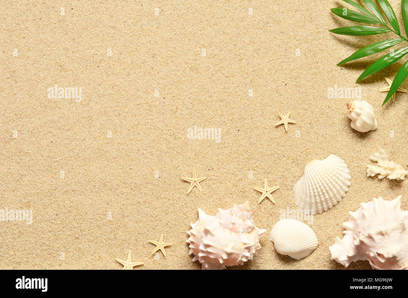 Sea sand with starfish and shells. Top view with copy space. Summer ...