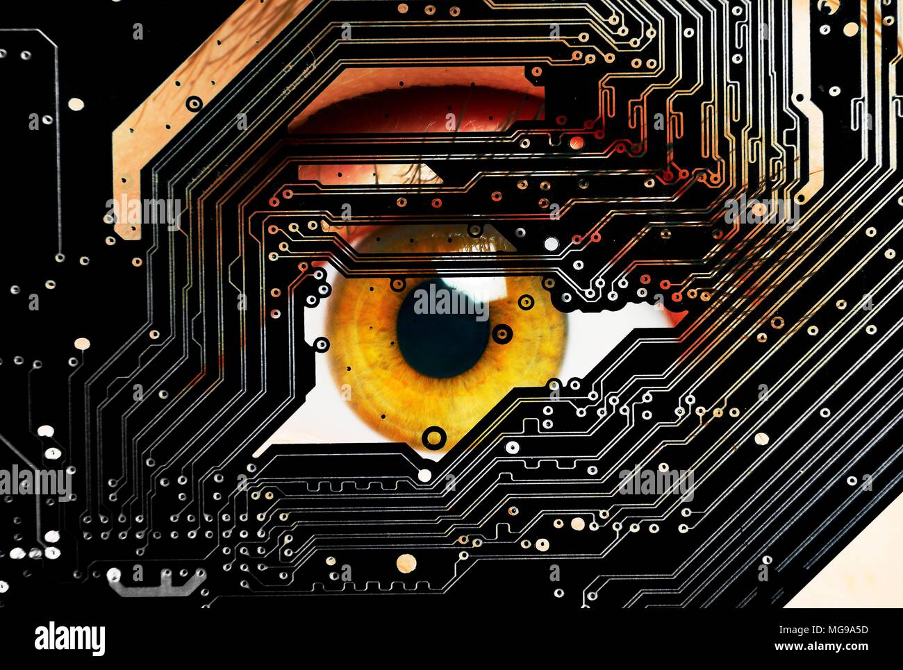 Human eye looking through circuit board. Stock Photo
