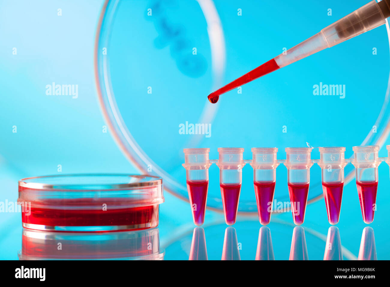 Biological assay hi-res stock photography and images - Alamy