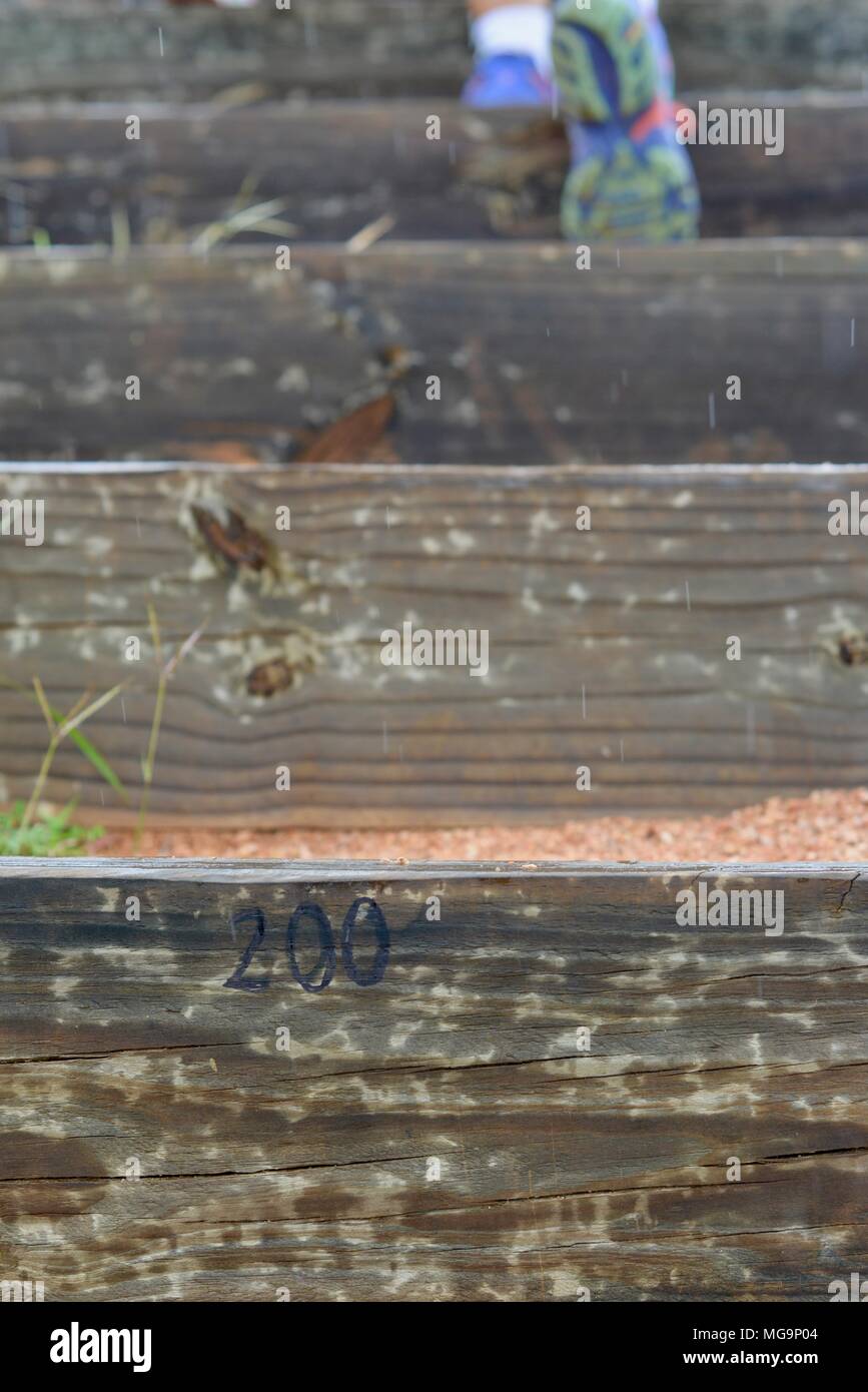 Steps Qld Treated pine steps 200 hi-res stock photography and images - Alamy