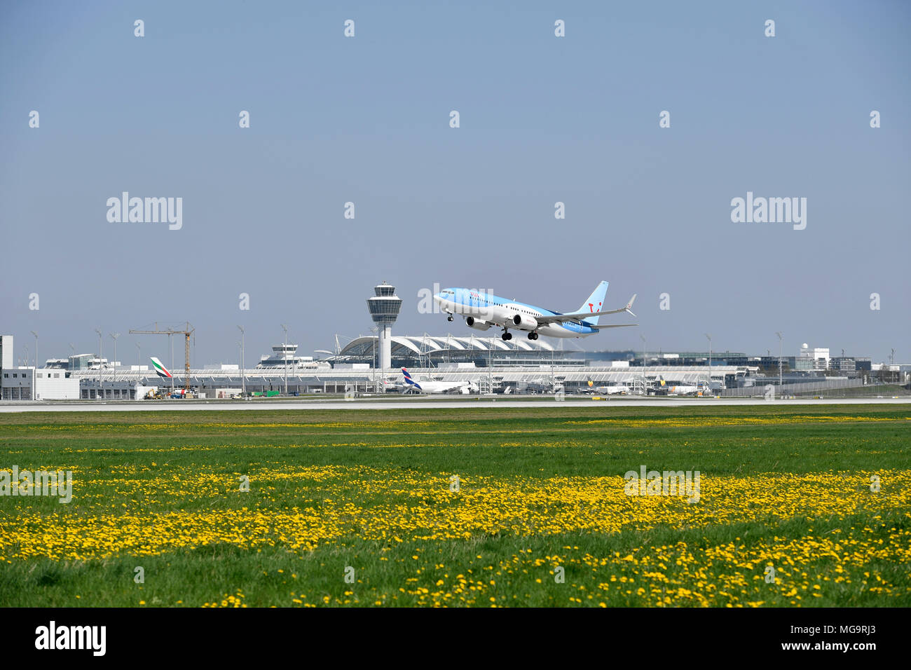 Tuifly, Tui, Tui fly, fly, B 737, B737-800, 800, Aircraft, Airplane, Plane, Overview, View, Panorama, Flower, weed, Grass, Start, Take of, MUC Stock Photo