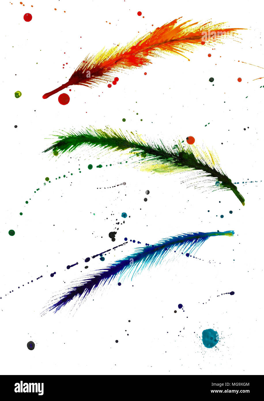 ink feather illustration Stock Photo Alamy