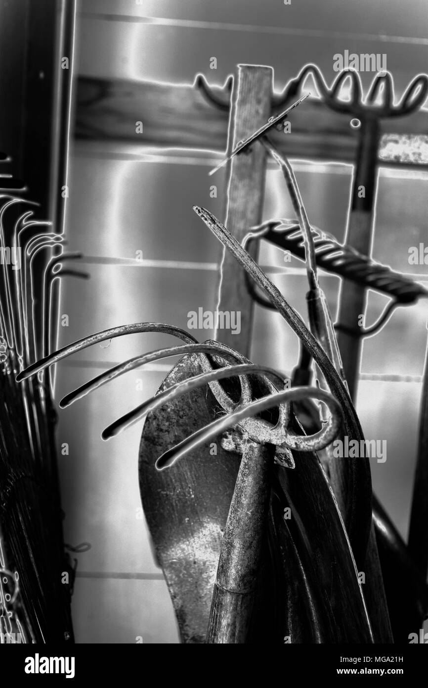 Solarized view of gardening tools are stored in a shed. Stock Photo