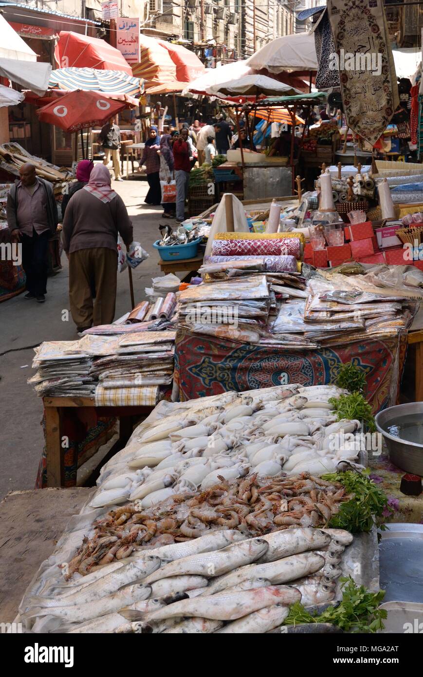 Fish market alexandria egypt hires stock photography and images Alamy