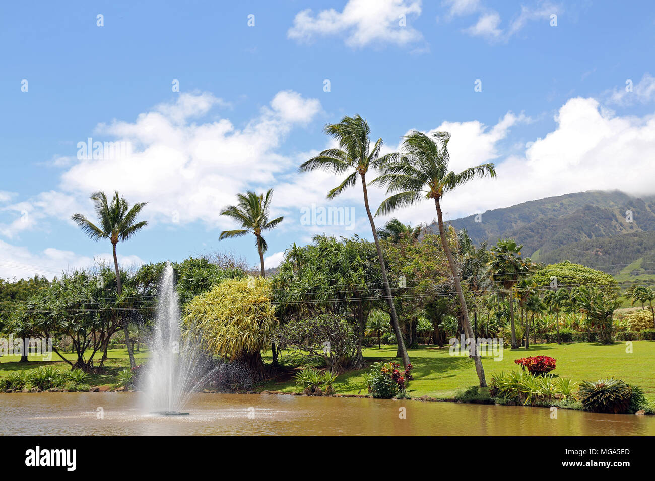 Maui Tropical Plantation, Maui Stock Photo Alamy