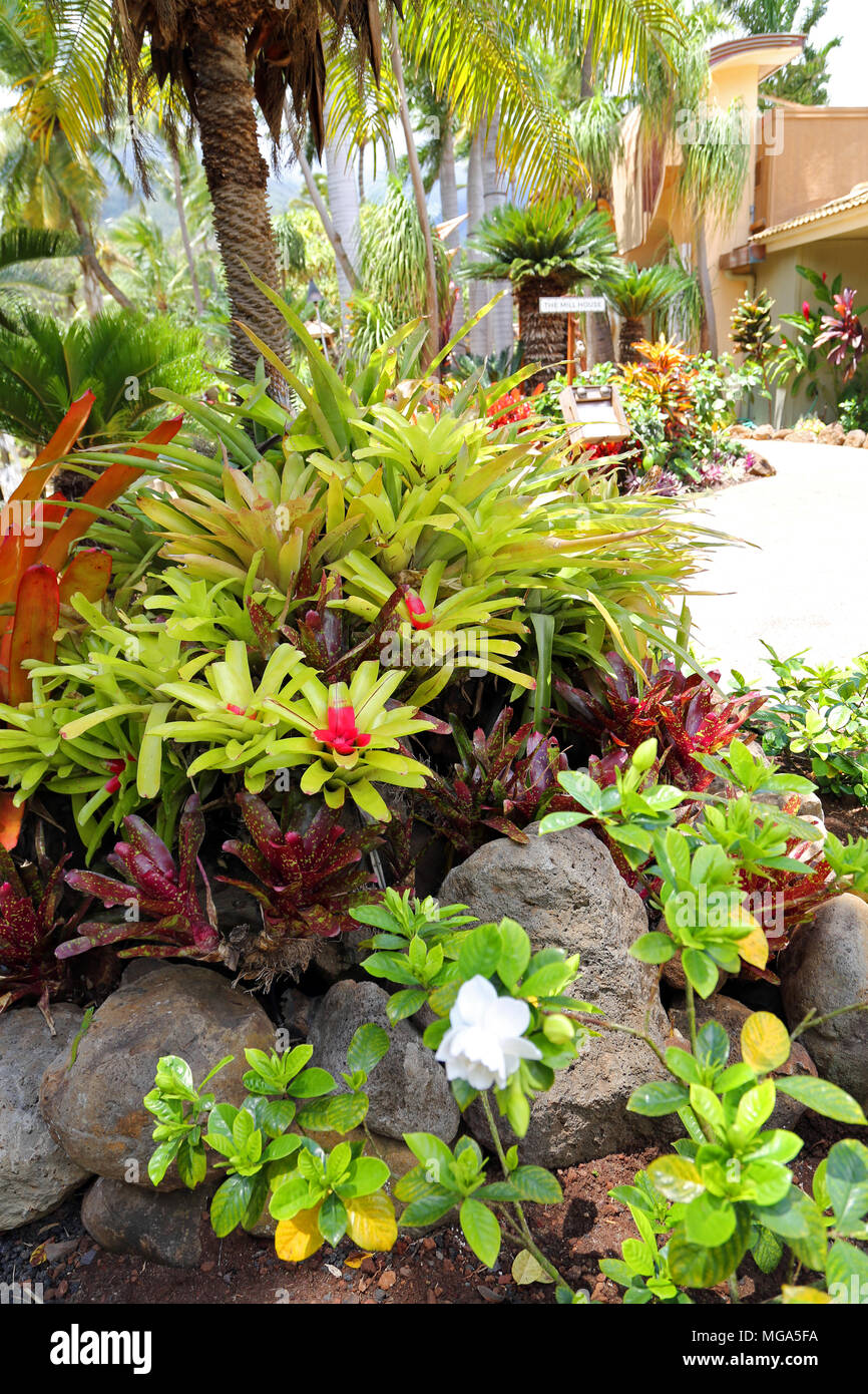 Maui Tropical Plantation, Maui Stock Photo Alamy