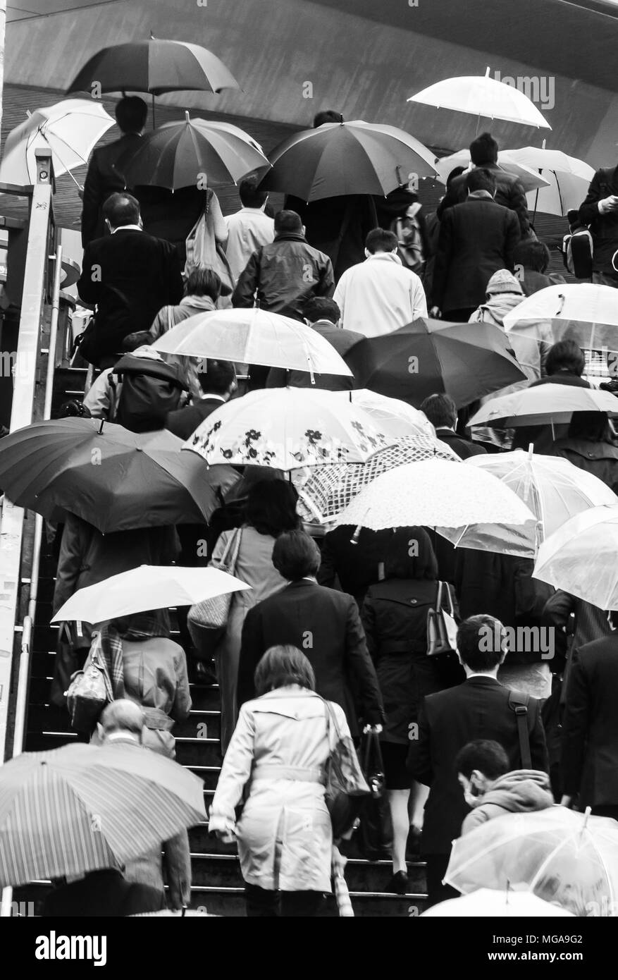 Morning office rush hour with rain and umbrella in Tokyo Stock Photo