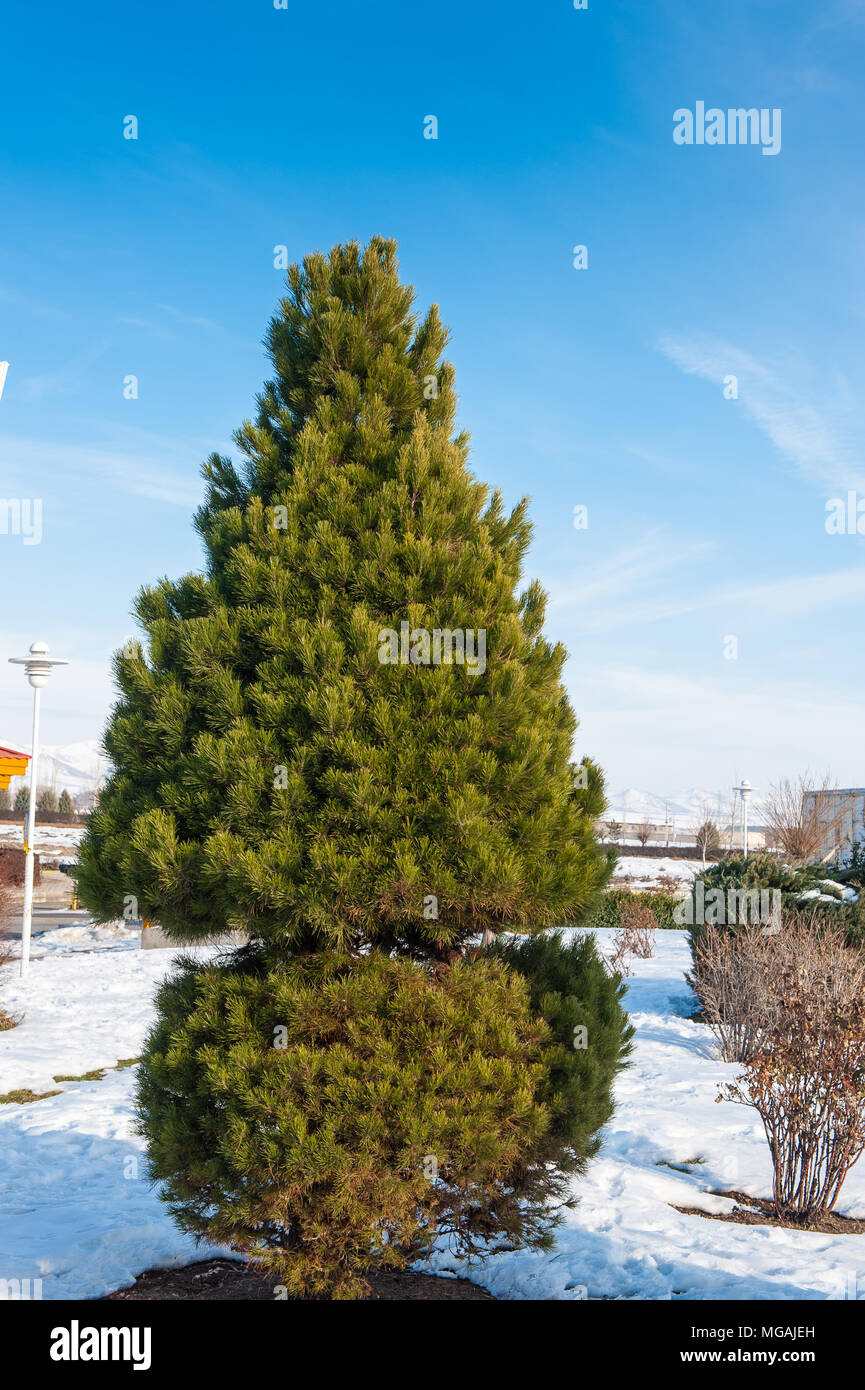 Nature of the province Zanjan in Iran, Asia Stock Photo Alamy