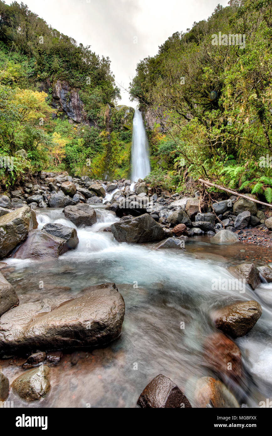 Dawson Falls Taranaki North Island New Zealand Stock Photo Alamy dawson-falls-taranaki-north-island-new-zealand-stock-photo-alamy