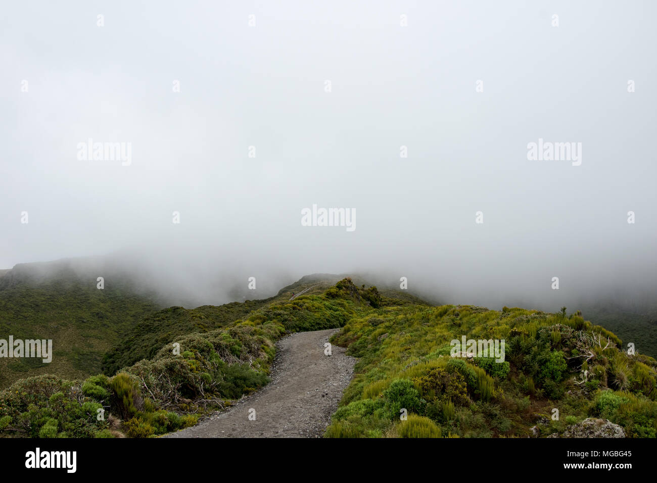 Hike up Mount Taranaki Stock Photo