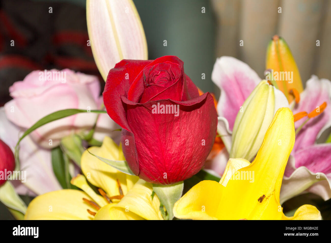 The fresh bouquet of flowers complete with various types of roses and