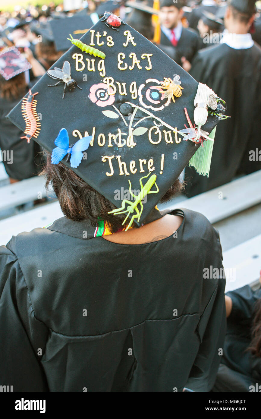 A University of Georgia graduate wears a mortarboard covered with plastic insects and a message on May 13, 2016 in Athens, GA. Stock Photo