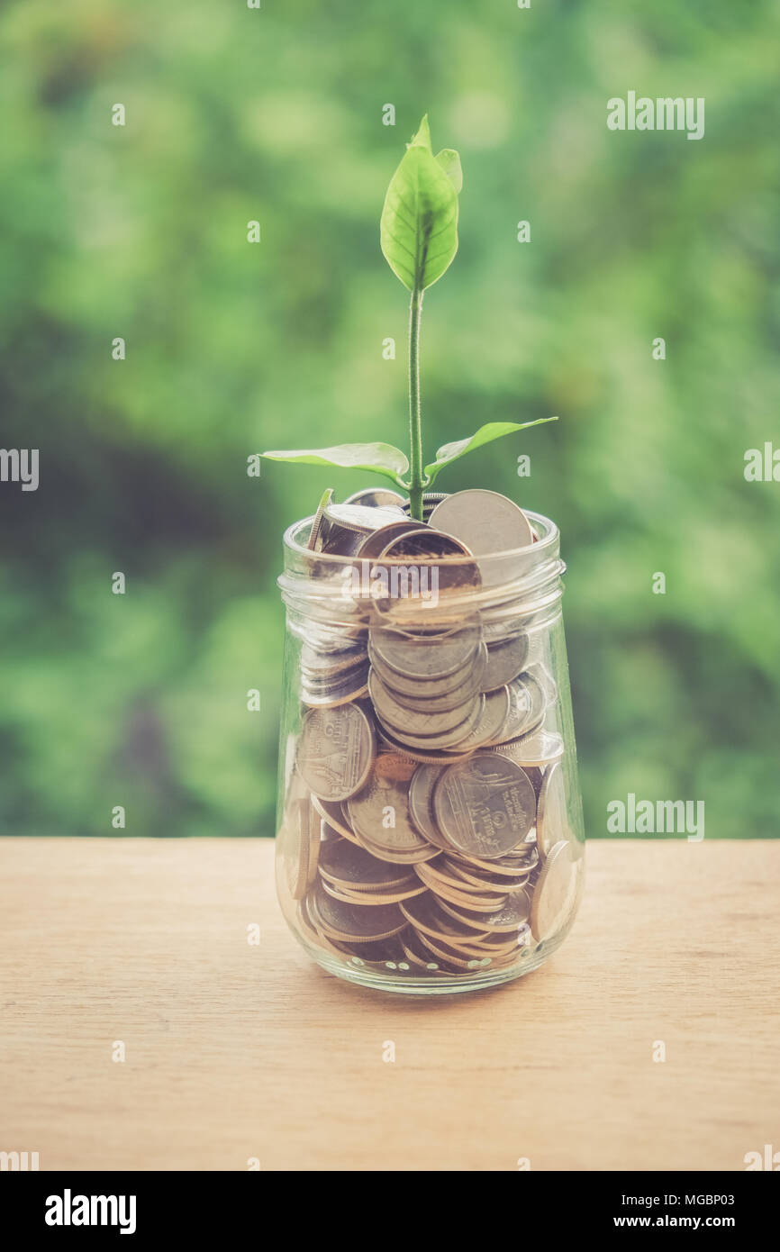 Sprout Growing On Glass Piggy Bank In Saving Money Concept With