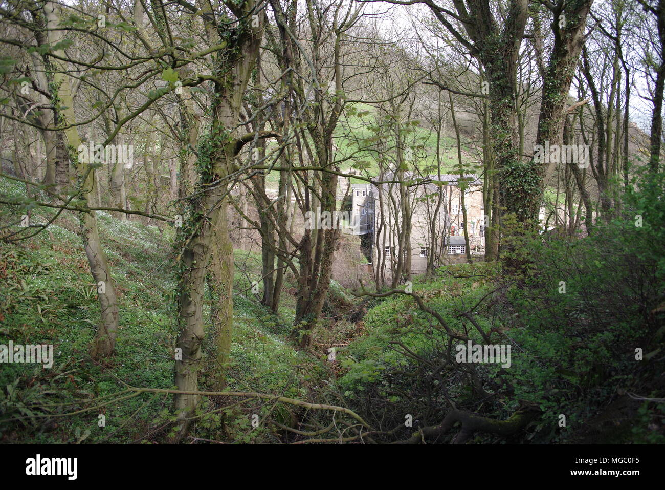 View through trees to Boggle Hole, Youth Hostel, North Yorkshire Stock Photo