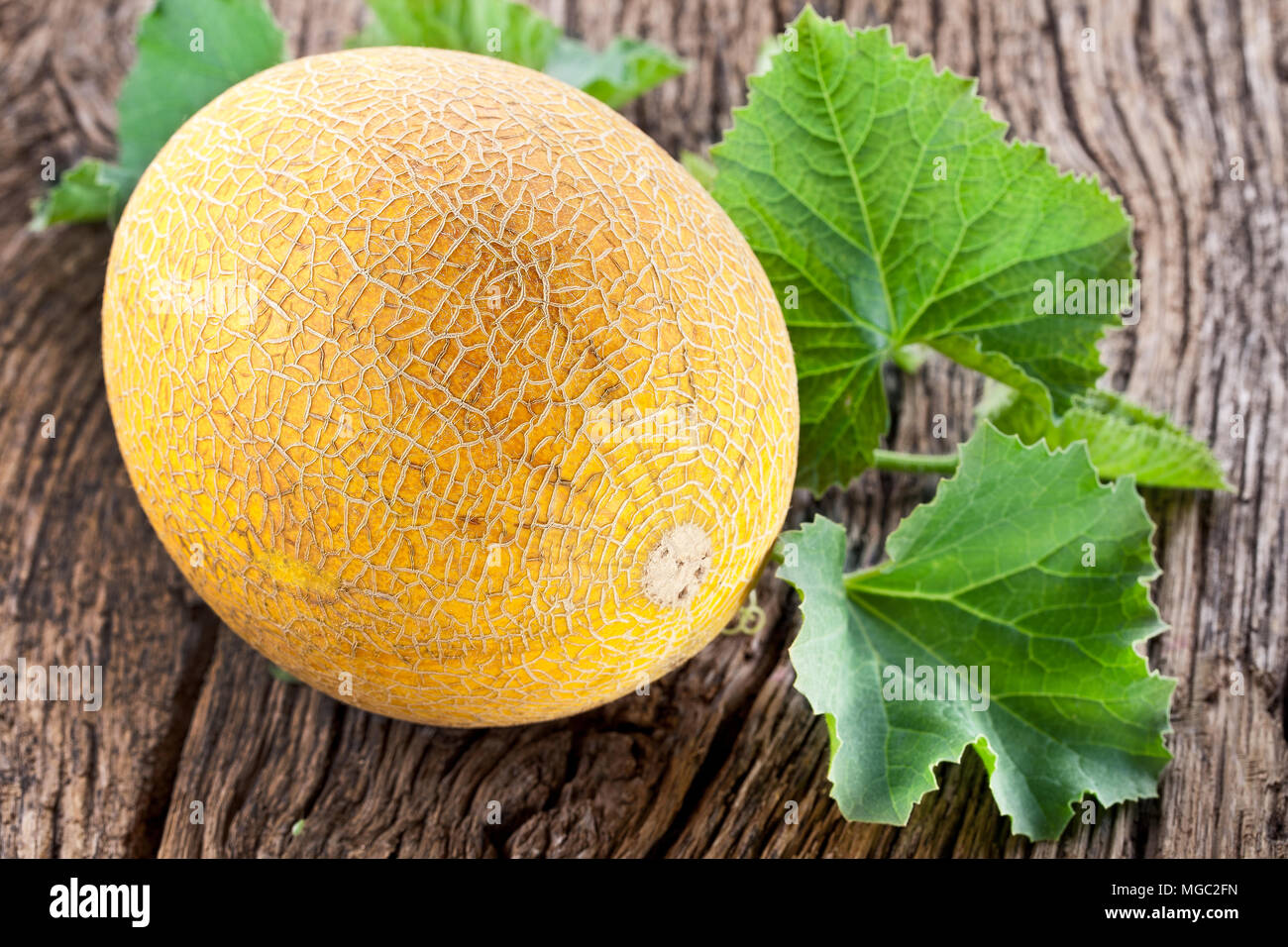Ripes melon with melon leaves on wooden background. Stock Photo