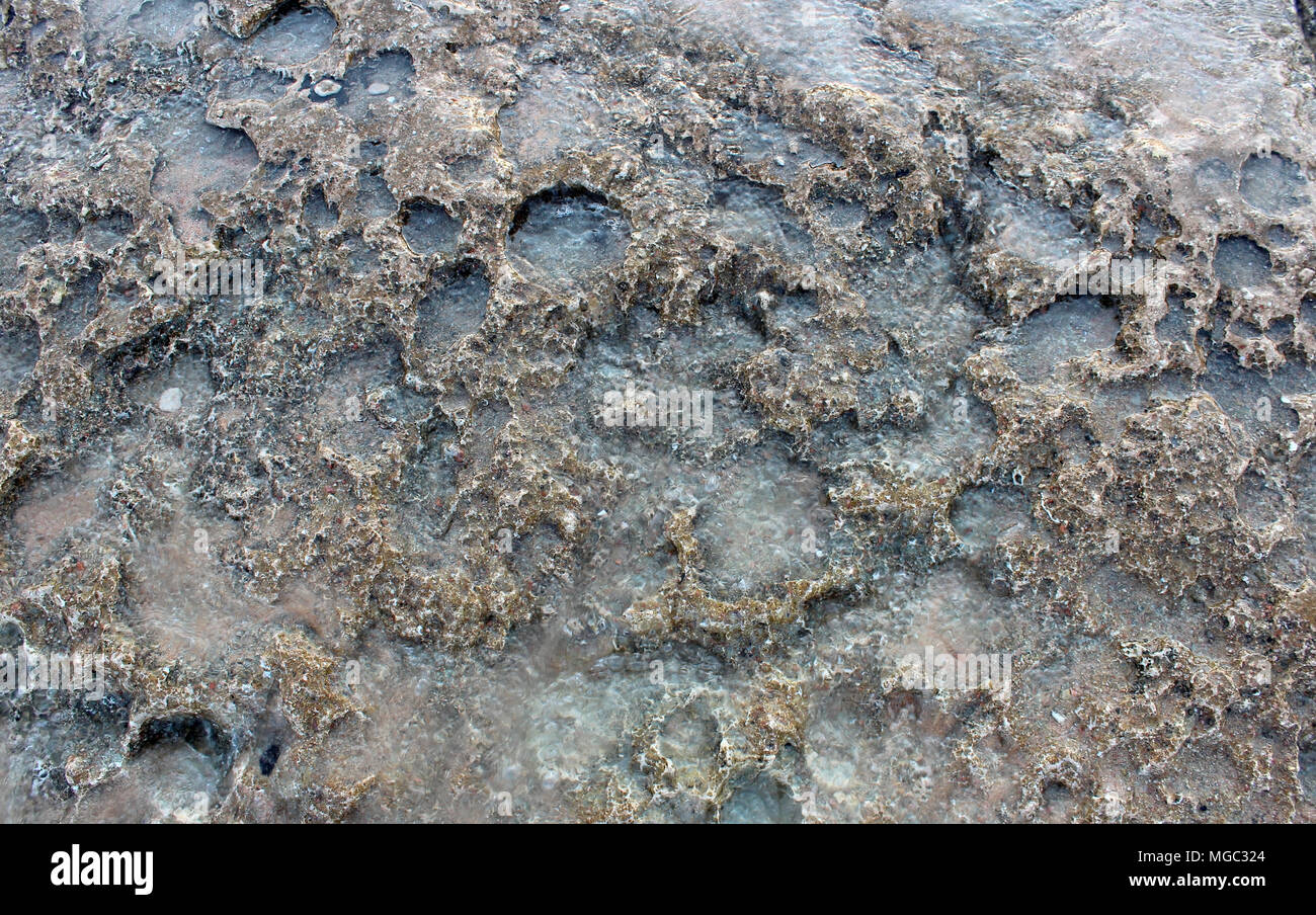 Wet the stone slab in the background Stock Photo