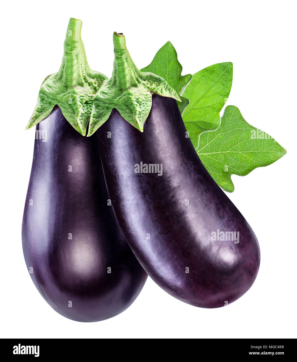 Aubergines or eggplants with eggplant leaf white background. File contains clipping path. Stock Photo