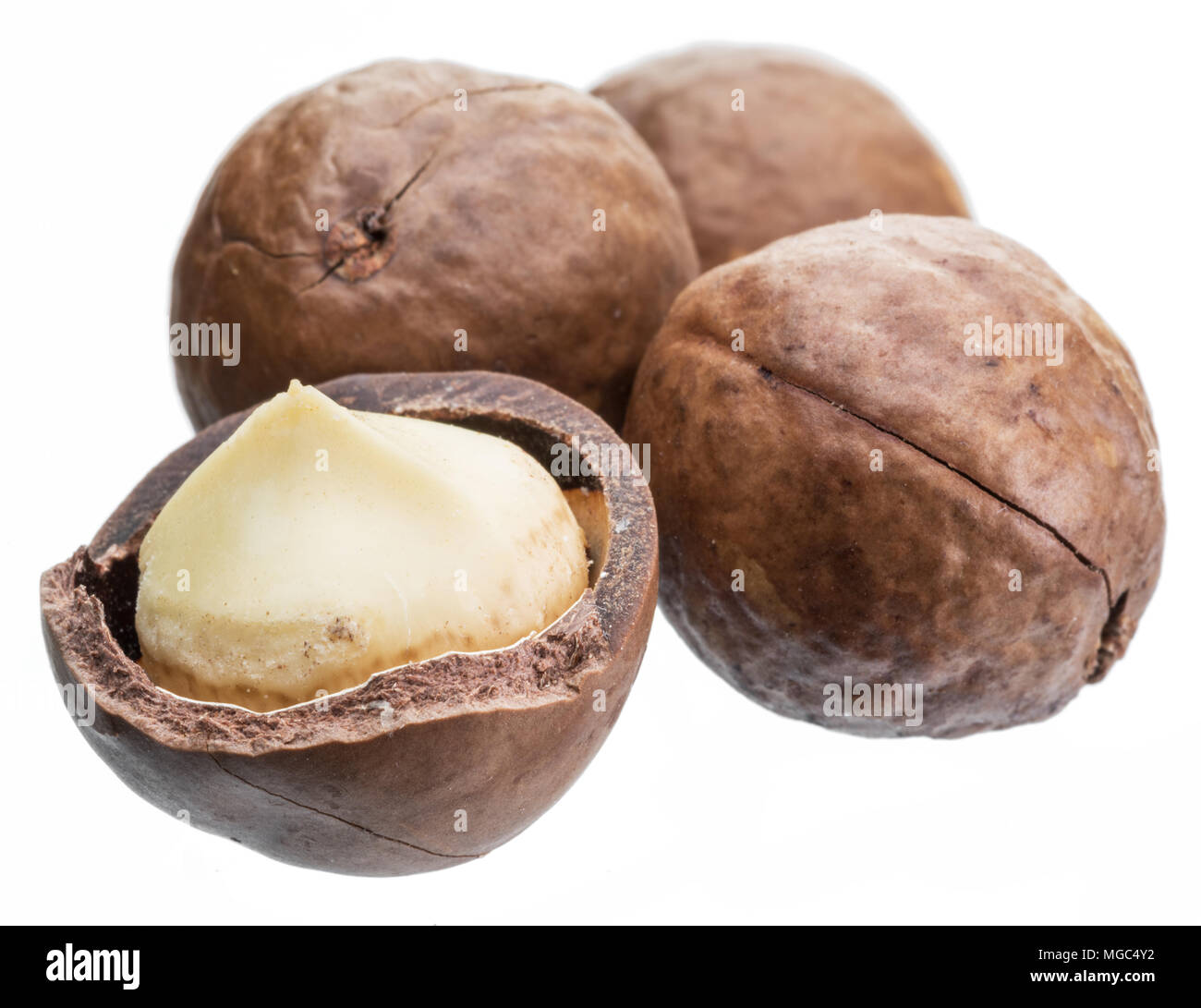 Macadamia nuts or bush nuts isolated on white background. Stock Photo
