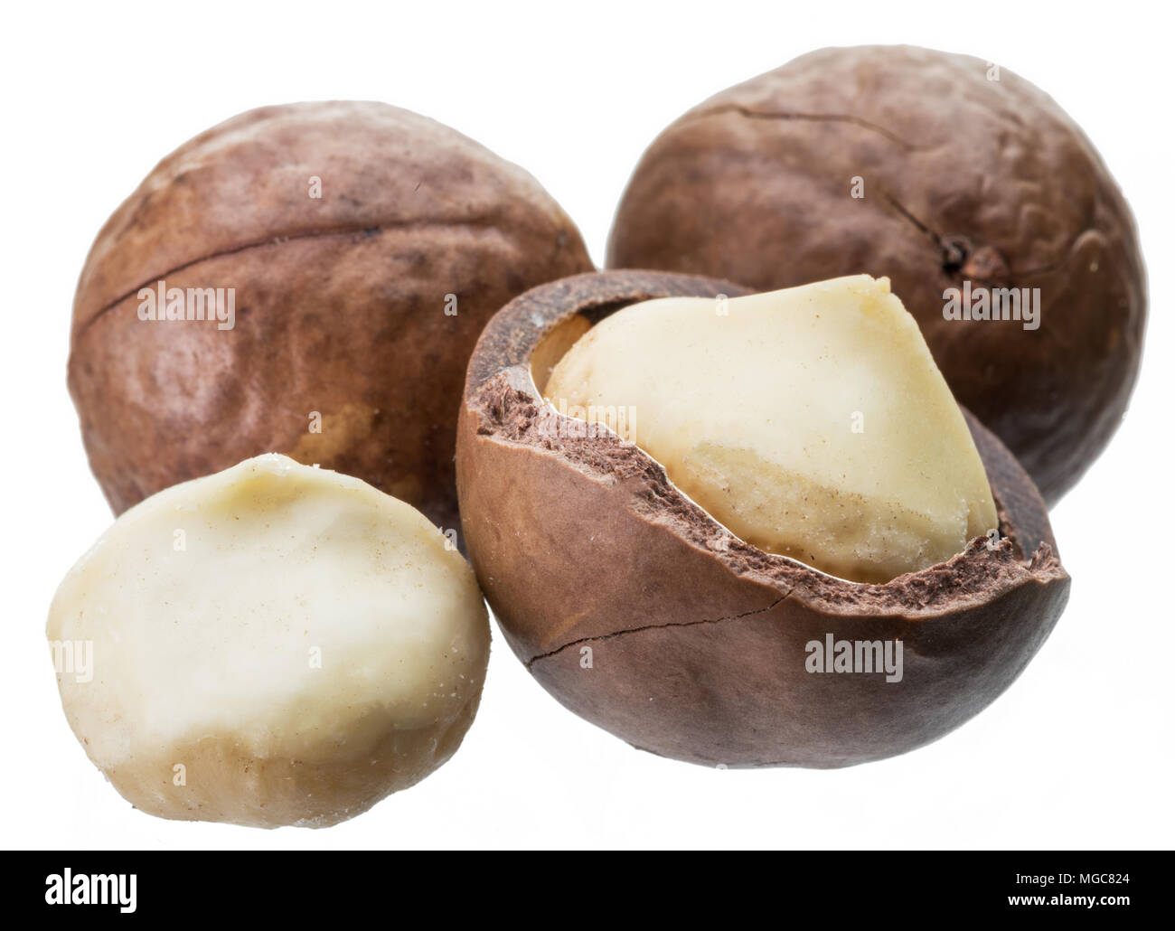 Macadamia nuts or bush nuts isolated on white background. Stock Photo