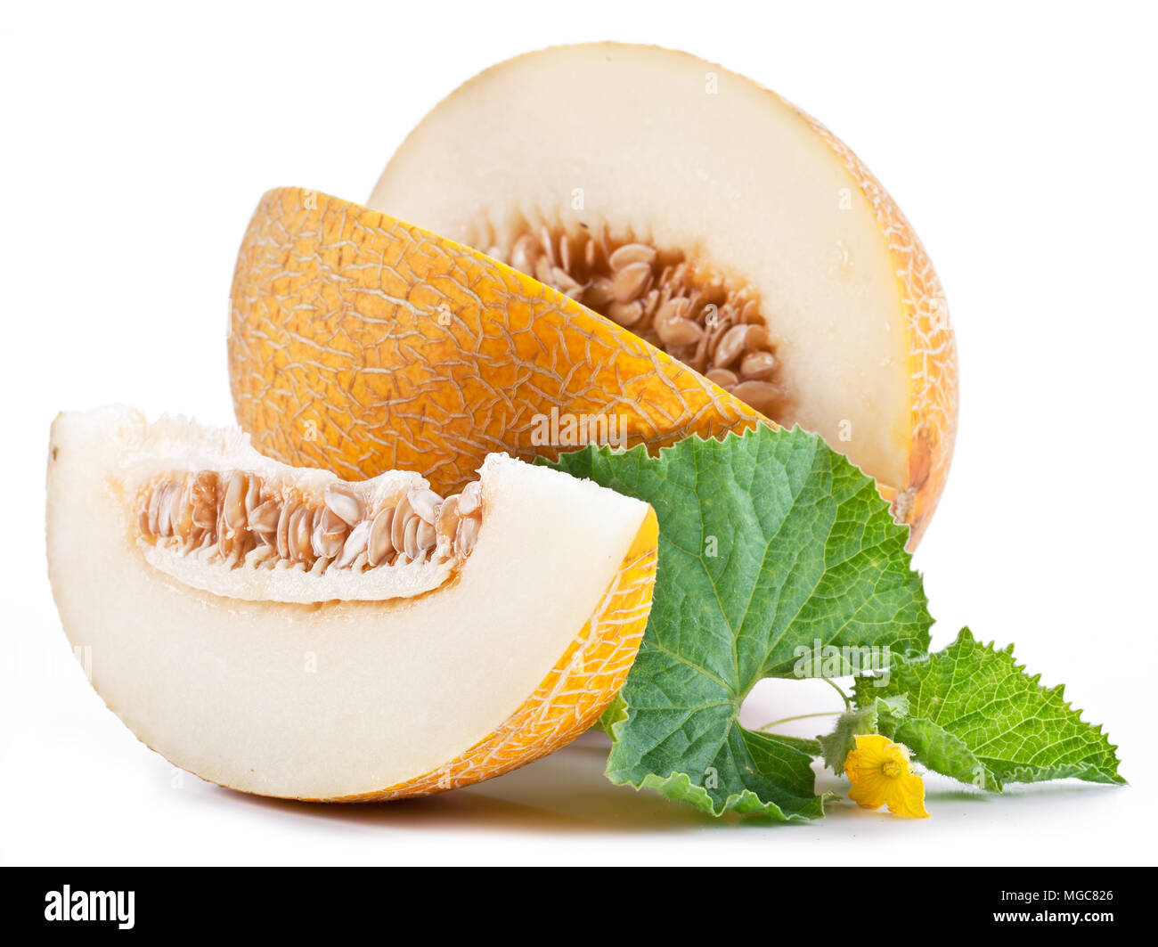 Ripe melons with fresh melon leaves on white background. Stock Photo