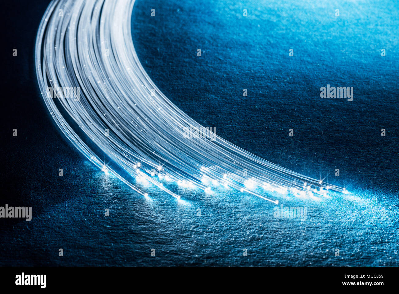 Bundle of optical fibers with lights in the ends. Blue background Stock